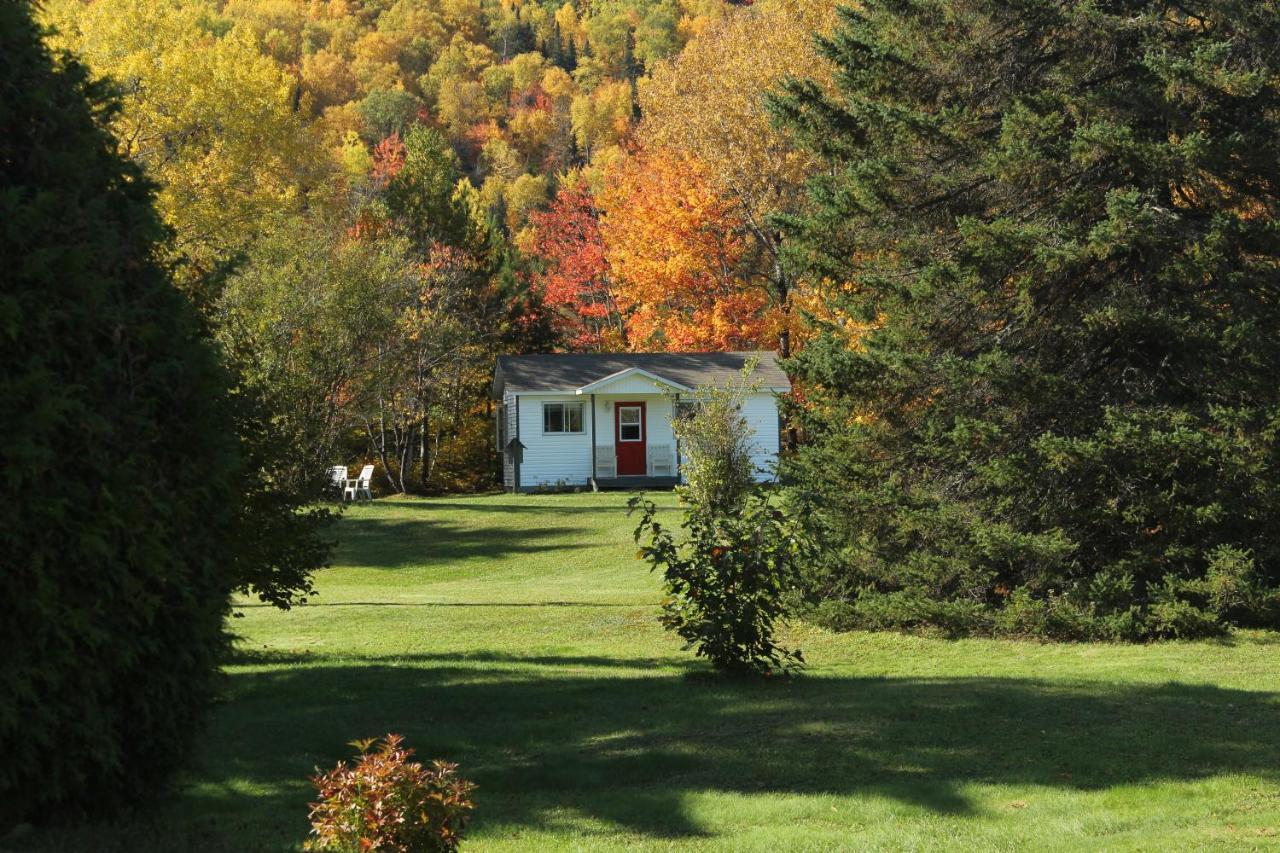 Chalet Au Bord Du St-Maurice La Tuque Exterior photo